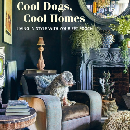 Cool Dogs, Cool Homes: Living in Style with Your Pet Pooch