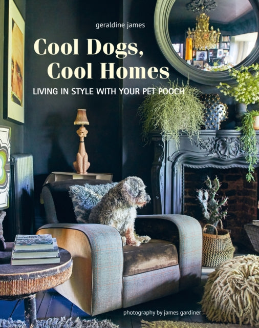 Cool Dogs, Cool Homes: Living in Style with Your Pet Pooch