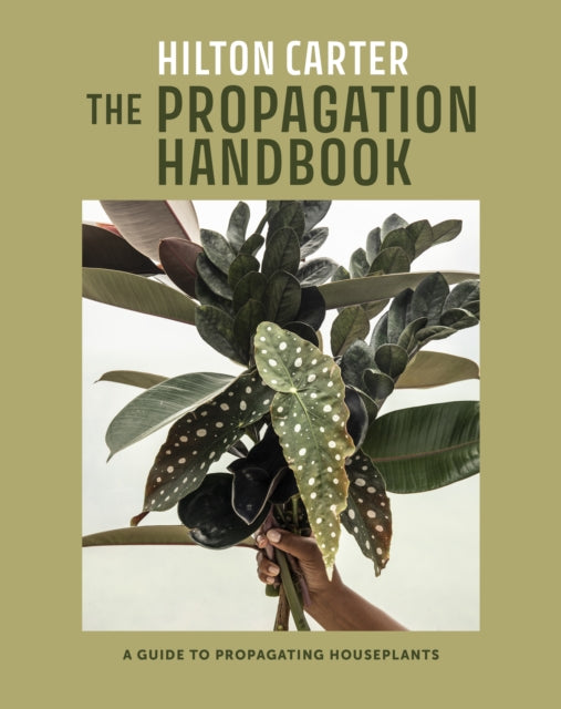 The Propagation Handbook