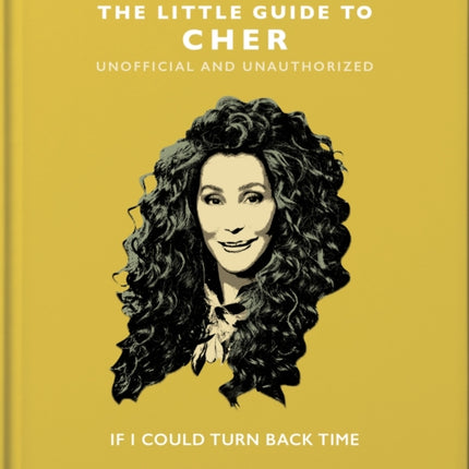 The Little Guide to Cher: If I Could Turn Back Time