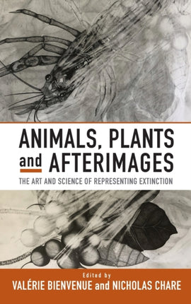 Animals, Plants and Afterimages: The Art and