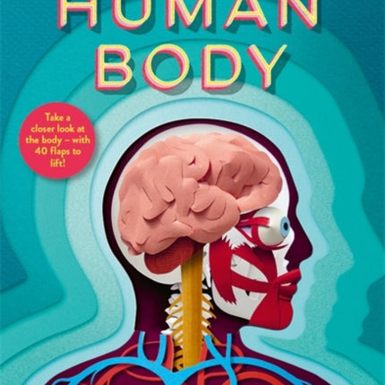 Paper World: Human Body: A fact-packed novelty book with 40 flaps to lift!