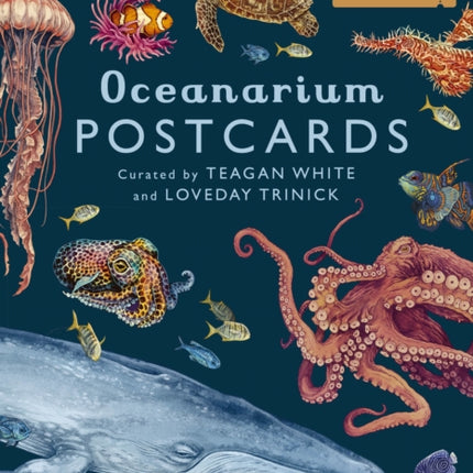 Oceanarium Postcards