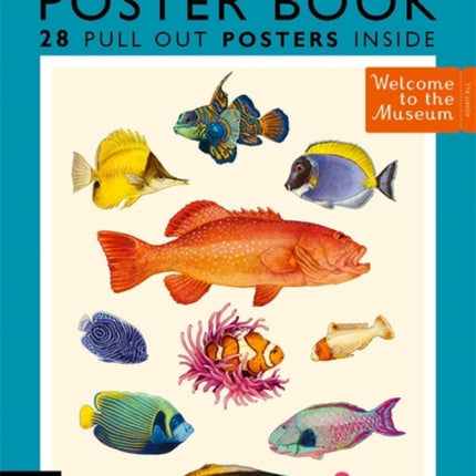 Oceanarium Poster Book