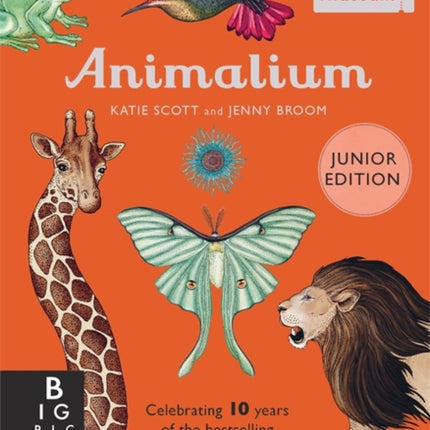 Animalium (Junior Edition)