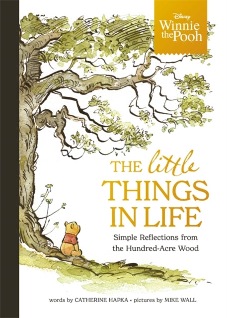 Winnie the Pooh  The Little Things in Life