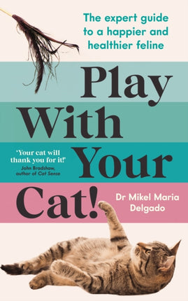 Play With Your Cat