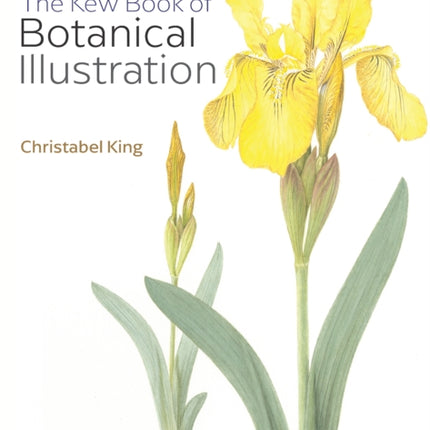 The Kew Book of Botanical Illustration (paperback edition)