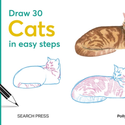 Draw 30 Cats