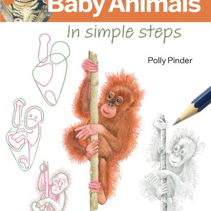 How to Draw Baby Animals