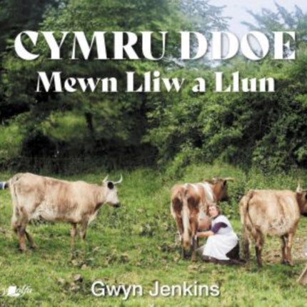 Cymru Ddoe Mewn Lliw a Llun