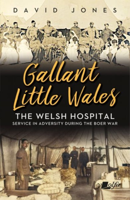 Gallant Little Wales