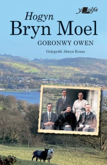 Hogyn Bryn Moel