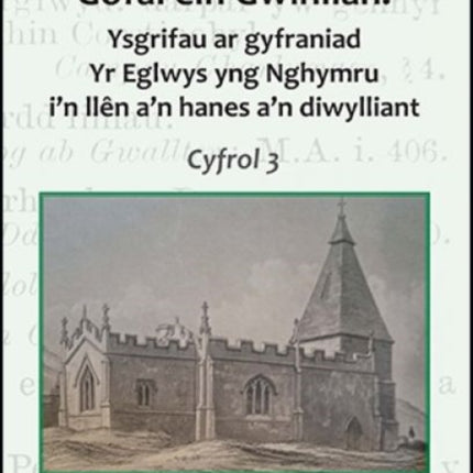 Gofal ein Gwinllan 3  Ysgrifau ar gyfraniad Yr
