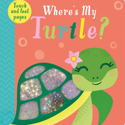 Where's My Turtle?