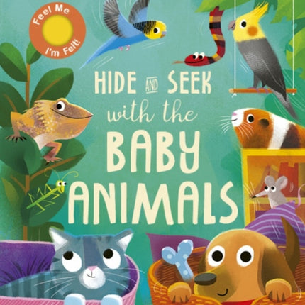 Hide and Seek with the Baby Animals