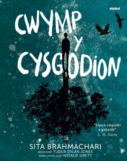 Darllen yn Well: Cwymp y Cysgodion