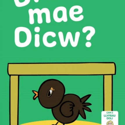 Llyfrau Hwyl Magi Ann: Ble Mae Dicw?