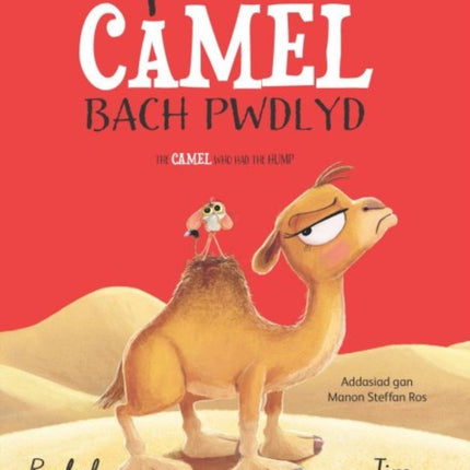 Y Camel Bach Pwdlyd  The Camel who had the hump