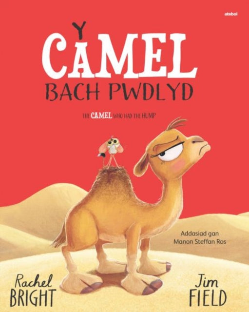 Y Camel Bach Pwdlyd  The Camel who had the hump