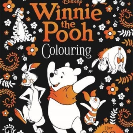 Disney: Winnie The Pooh Colouring