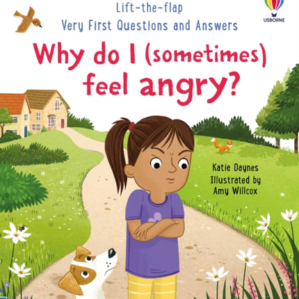 Very First Questions and Answers: Why do I (sometimes) feel angry?