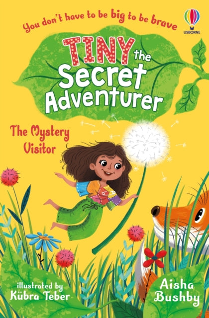 Tiny the Secret Adventurer The Mystery Visitor