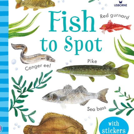 Fish to Spot