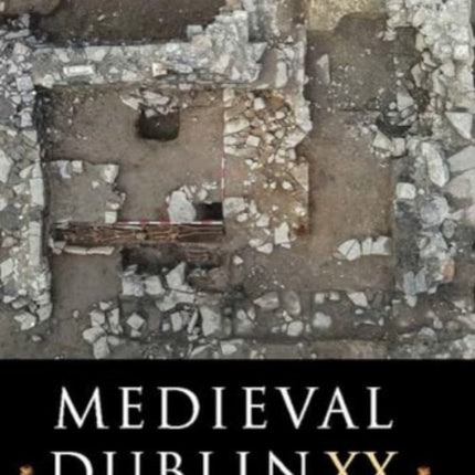Medieval Dublin XX