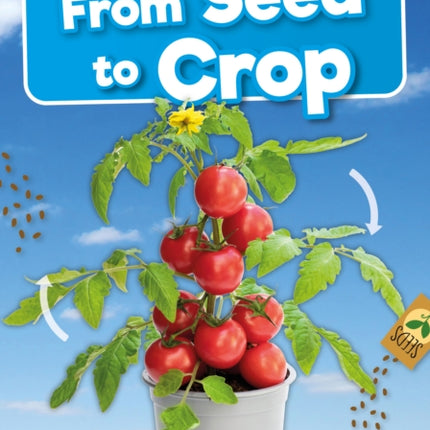 From Seed to Crop