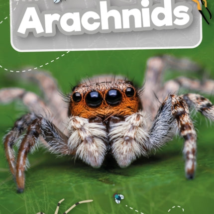 Arachnids