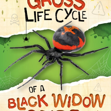 The Gross Life Cycle of a Black Widow Spider