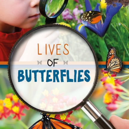 Lives of Butterflies