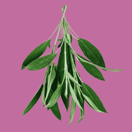 The Pocket Herbology