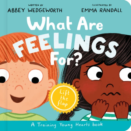 What Are Feelings For Board Book