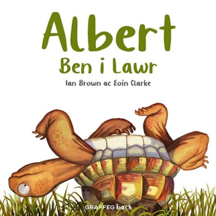 Albert Ben i Lawr