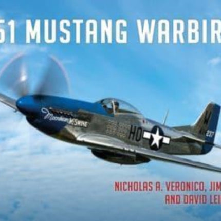 P-51 Mustang Warbirds