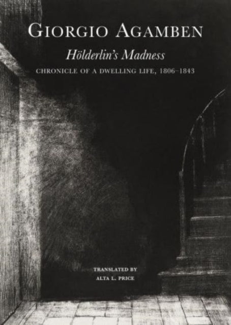 H246lderlins Madness  Chronicle of a Dwelling