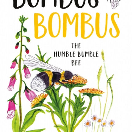 Bombus Bombus: The Humble Bumble Bee