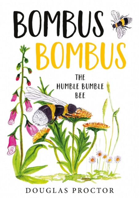 Bombus Bombus: The Humble Bumble Bee