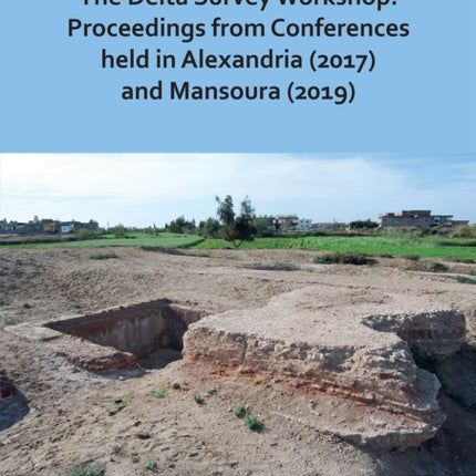 The Delta Survey Workshop: Proceedings from Conferences held in Alexandria (2017) and Mansoura (2019)