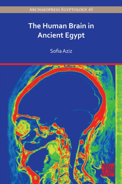 The Human Brain in Ancient Egypt: A Medical and Historical Re-evaluation of Its Function and Importance