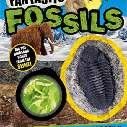 NonFiction Books Fantastic Fossils