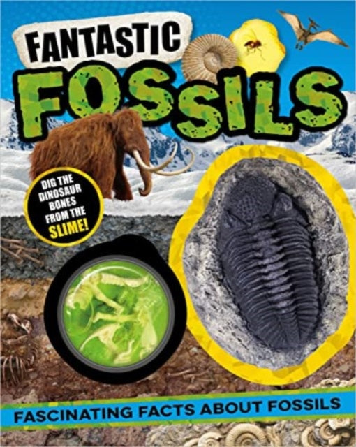 NonFiction Books Fantastic Fossils