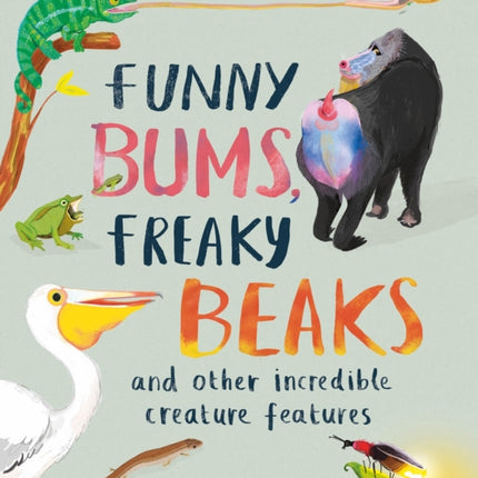 Funny Bums, Freaky Beaks: and Other Incredible Creature Features