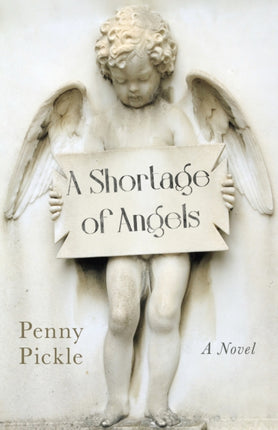 Shortage of Angels, A: A Novel