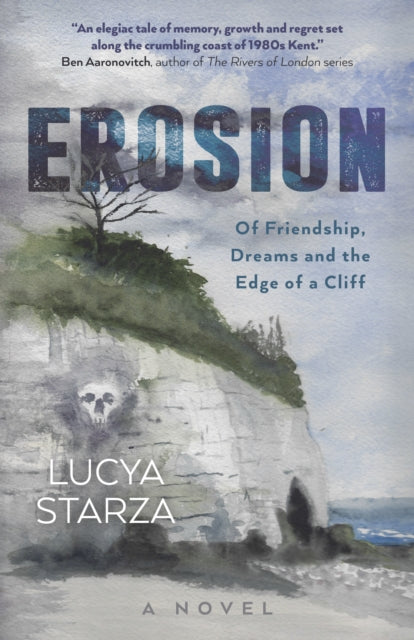 Erosion  Of Friendship Dreams and the Edge of a Cliff A Novel