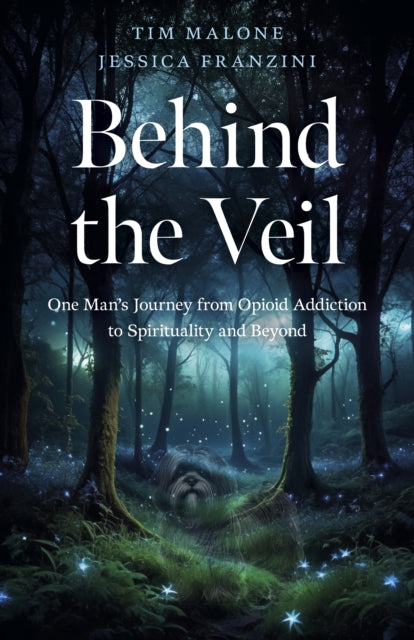 Behind the Veil  One Mans Journey from Opioid Addiction to Spirituality and Beyond