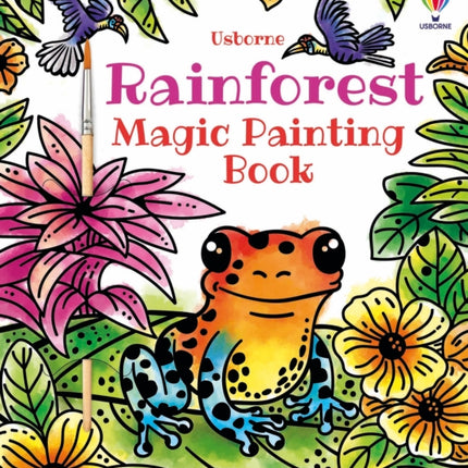 Rainforest Magic Painting Book