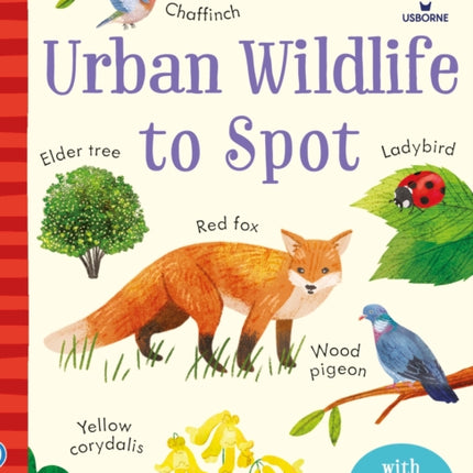 Urban Wildlife to Spot